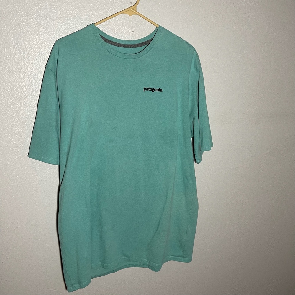 Patagonia Responsibili-Tee